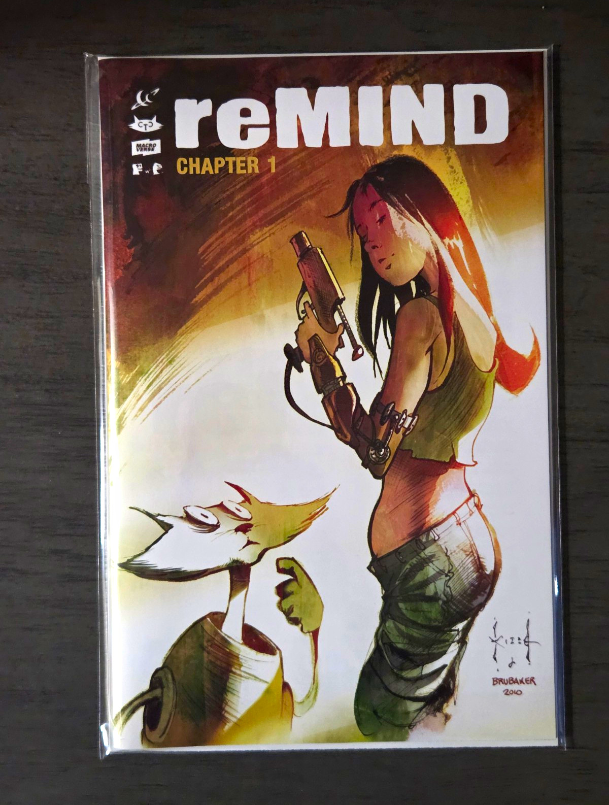 reMIND #1 Variant Cover Ltd 1200 Sam Kieth Brubaker Macroverse 2010