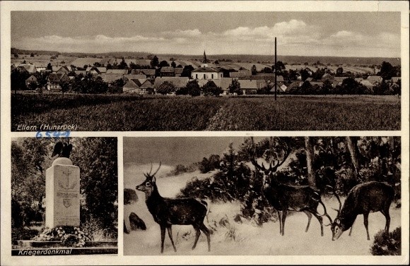 Postcard Ellern Hunsrück, war memorial, deer, view of the place, field - 10074064