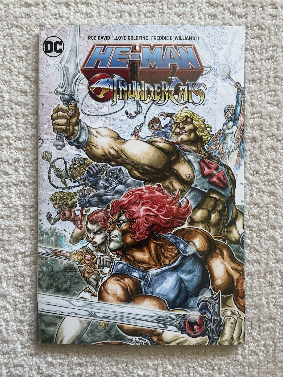 He-Man Thundercats TPB - David, Goldfine, Williams II | DC | 2017 He-Man Thundercats TPB - David, Goldfine, Williams II | DC | 2017