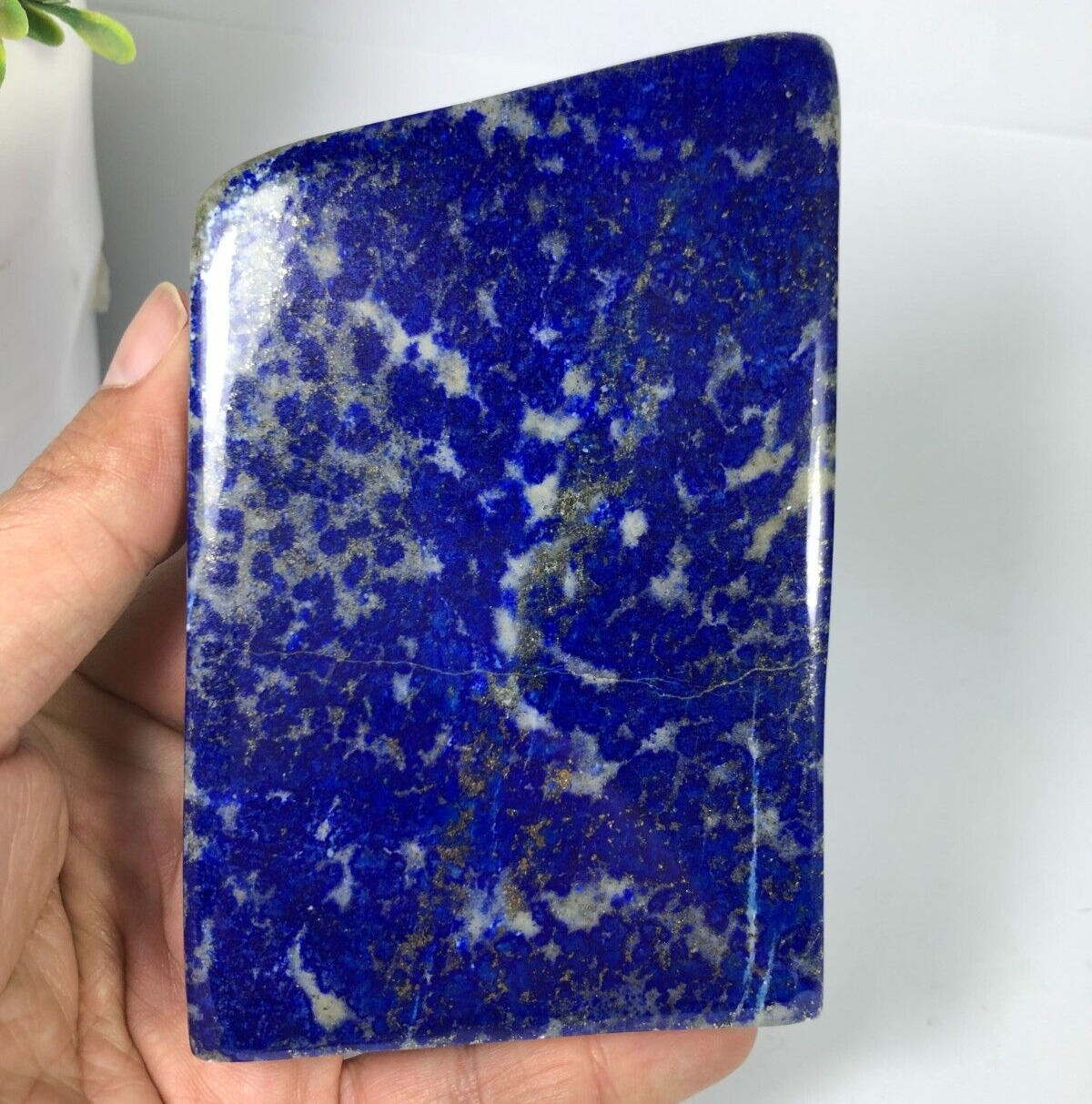404 Gram Lapis Lazuli Freeform Polished Rough Tumble Crystal Specimen Stone