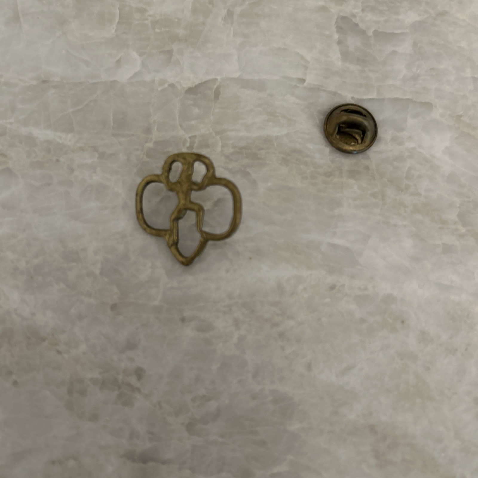 Vintage Girl Scouts Lapel Pin Brownie Member