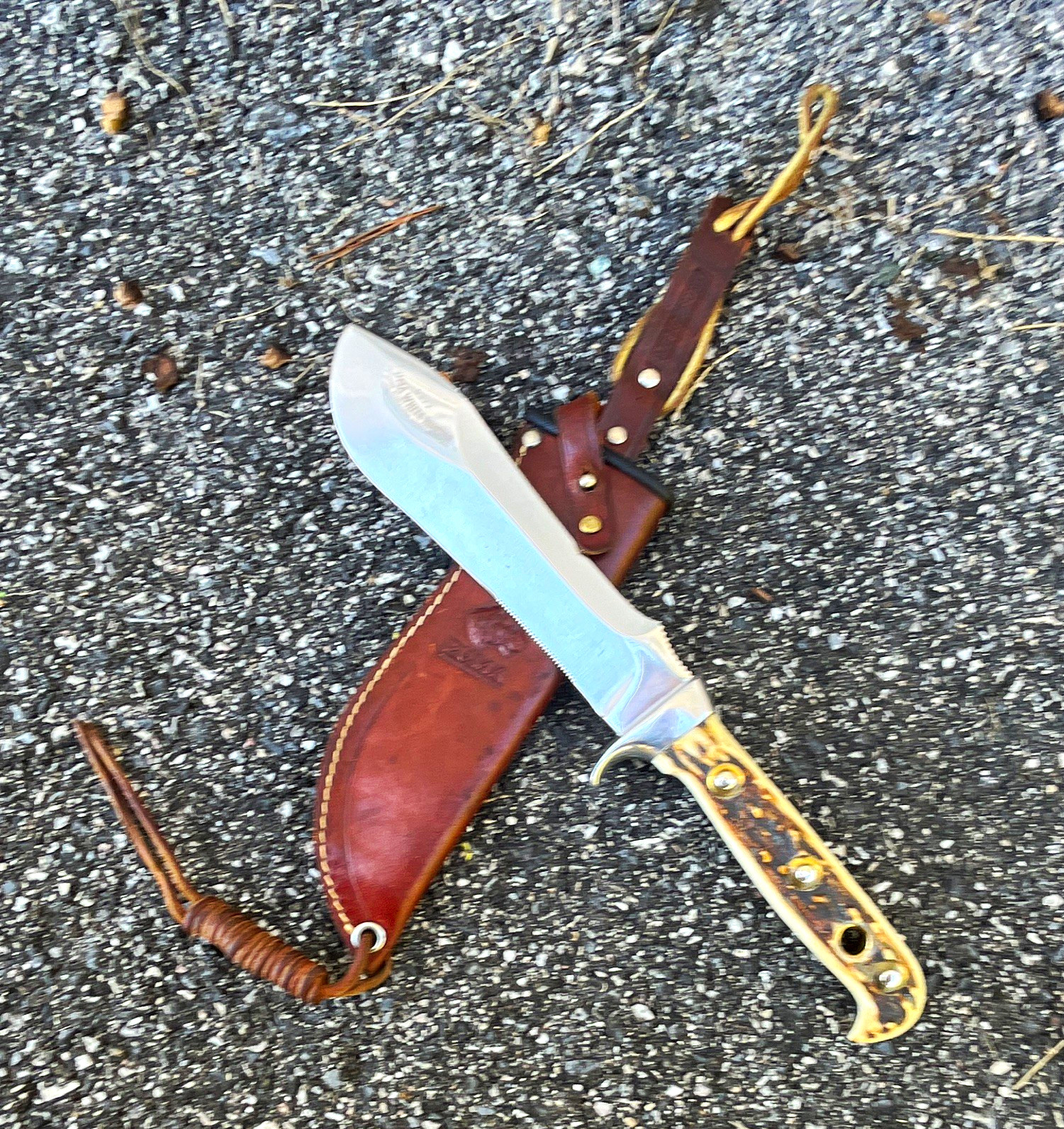 Vintage puma white hunter pre-64 stag handle knife  Vintage puma white hunter pre-64 stag handle knife 