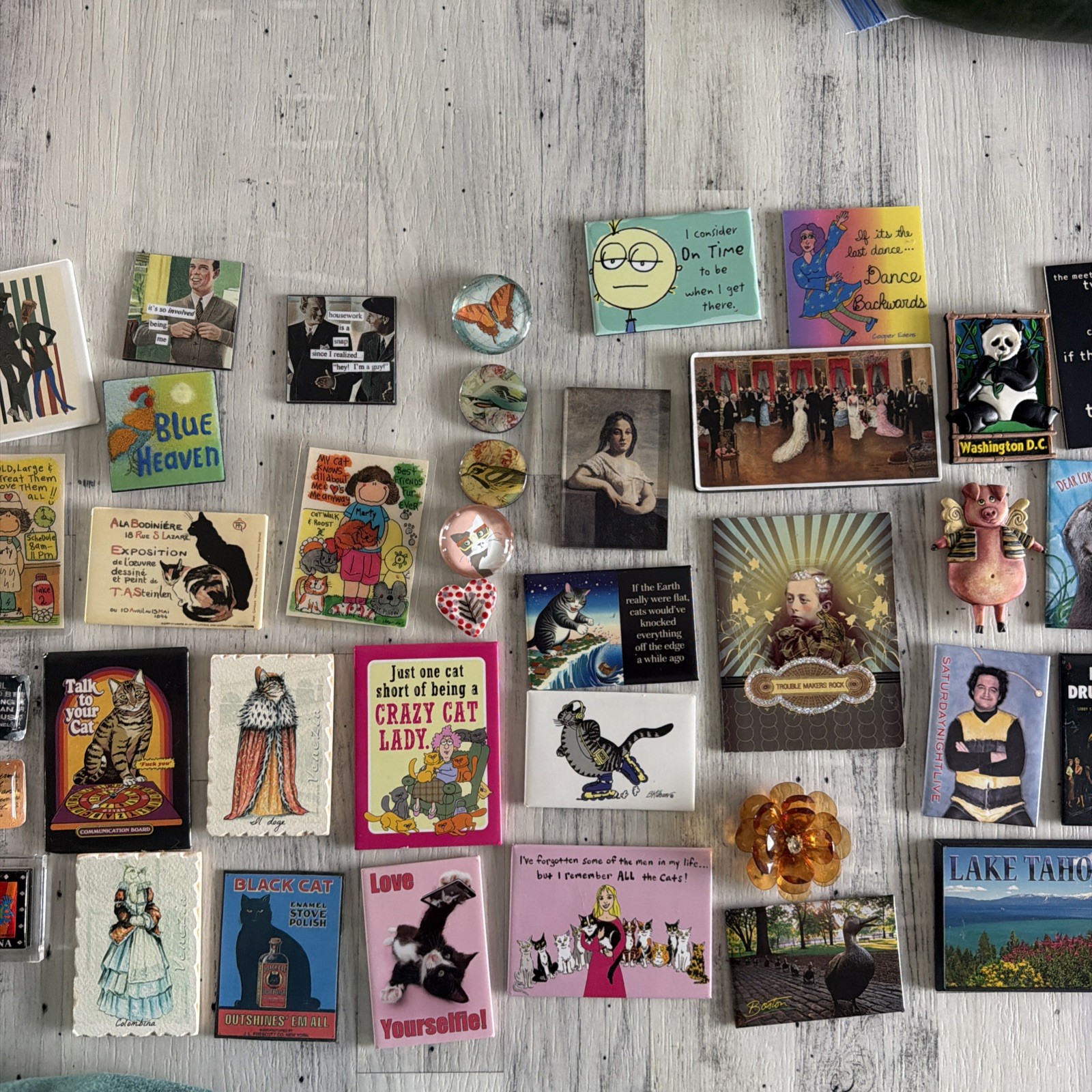 Refrigerator Magnet Lot Cats Funny Sayings Travel Souvenirs Art Animals Mixed