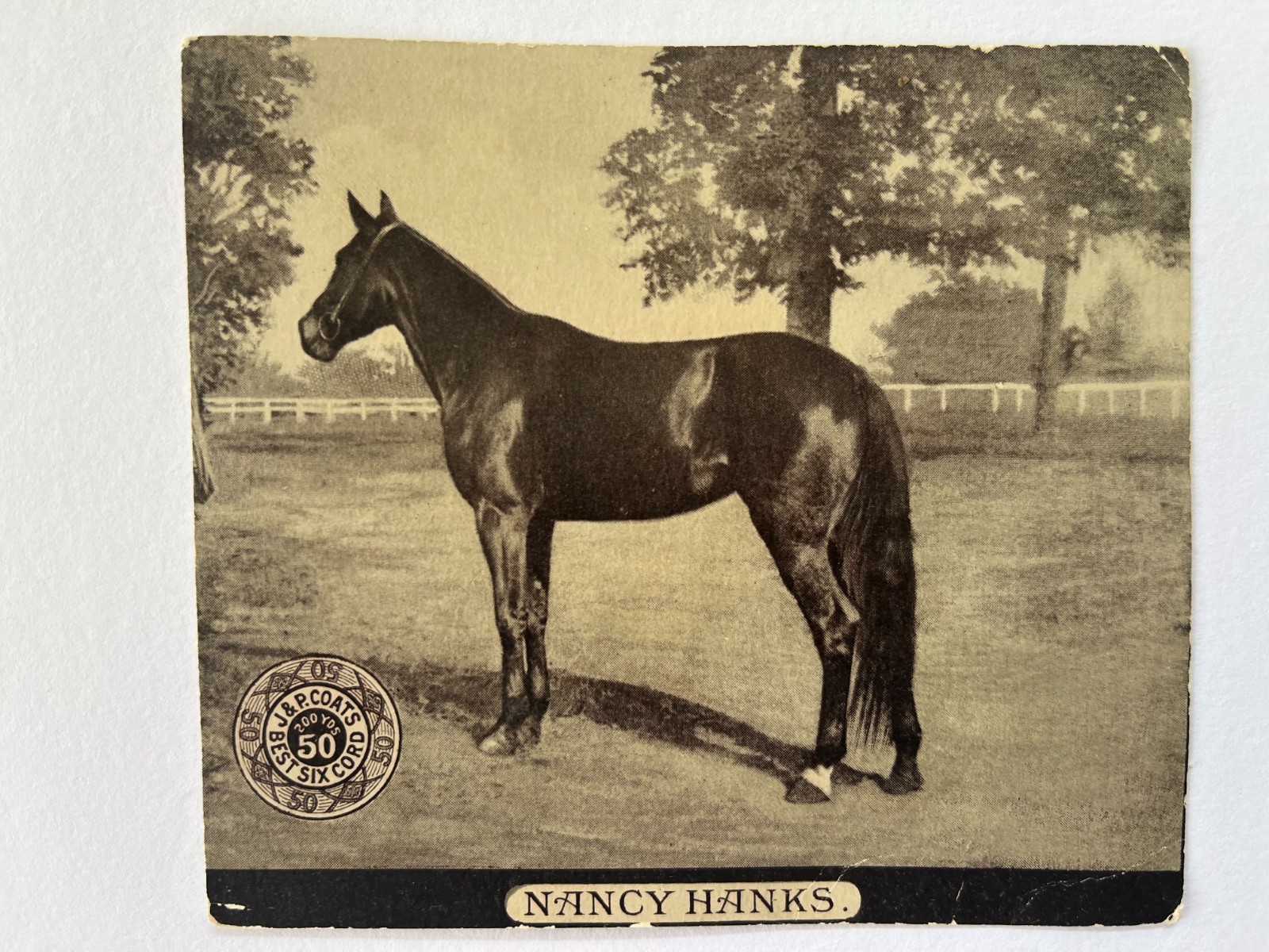 Nancy Hanks Champion Trotting Horse Advertising Trade Card J & P Coats antique Nancy Hanks Champion Trotting Horse Advertising Trade Card J & P Coats antique