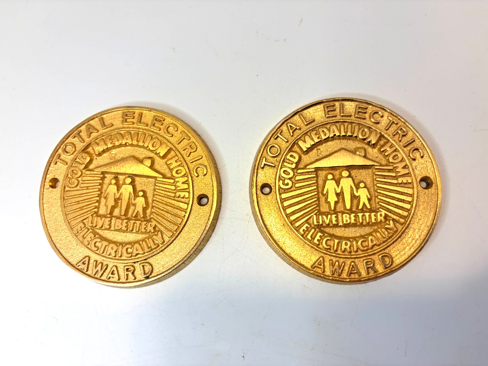Pair Vintage Gold Medallion Home Total Electric NEMA Brass MCM 3  Plaques