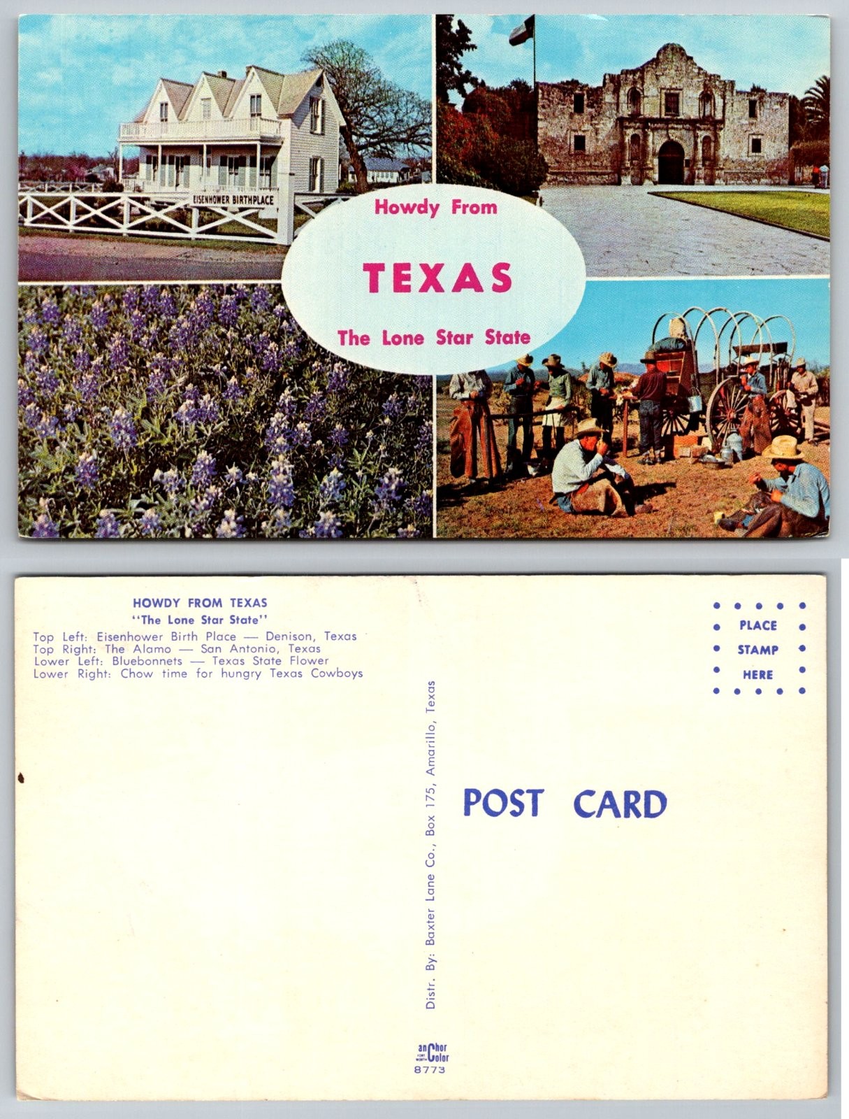 Howdy From Texas Eisenhower Birthplace Alamo Bluebonnets Cowboys Postcard