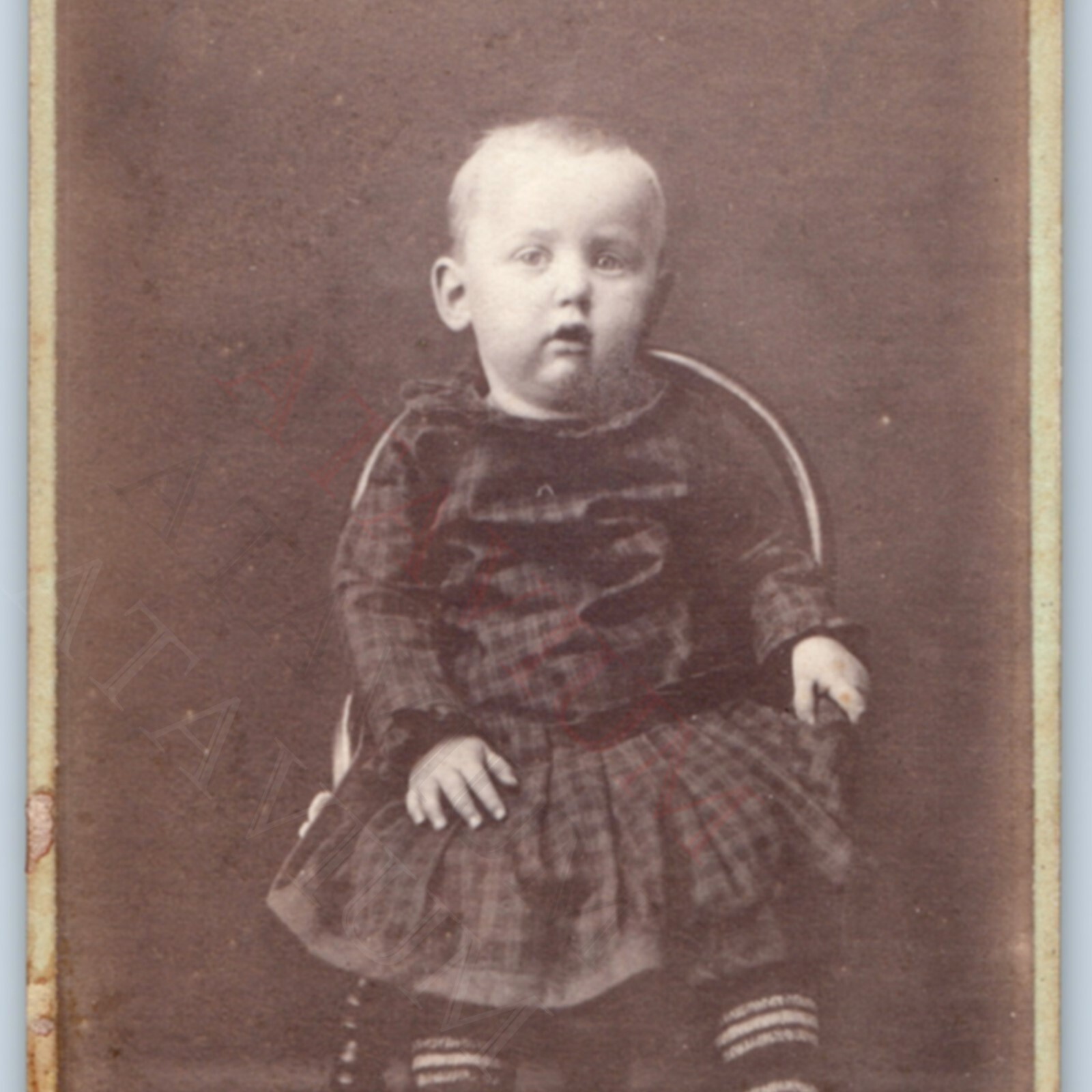 IDd Eddie c1870s Whitewater WI CDV Photo J.P. Whipple Empire Gallery Wisconsin