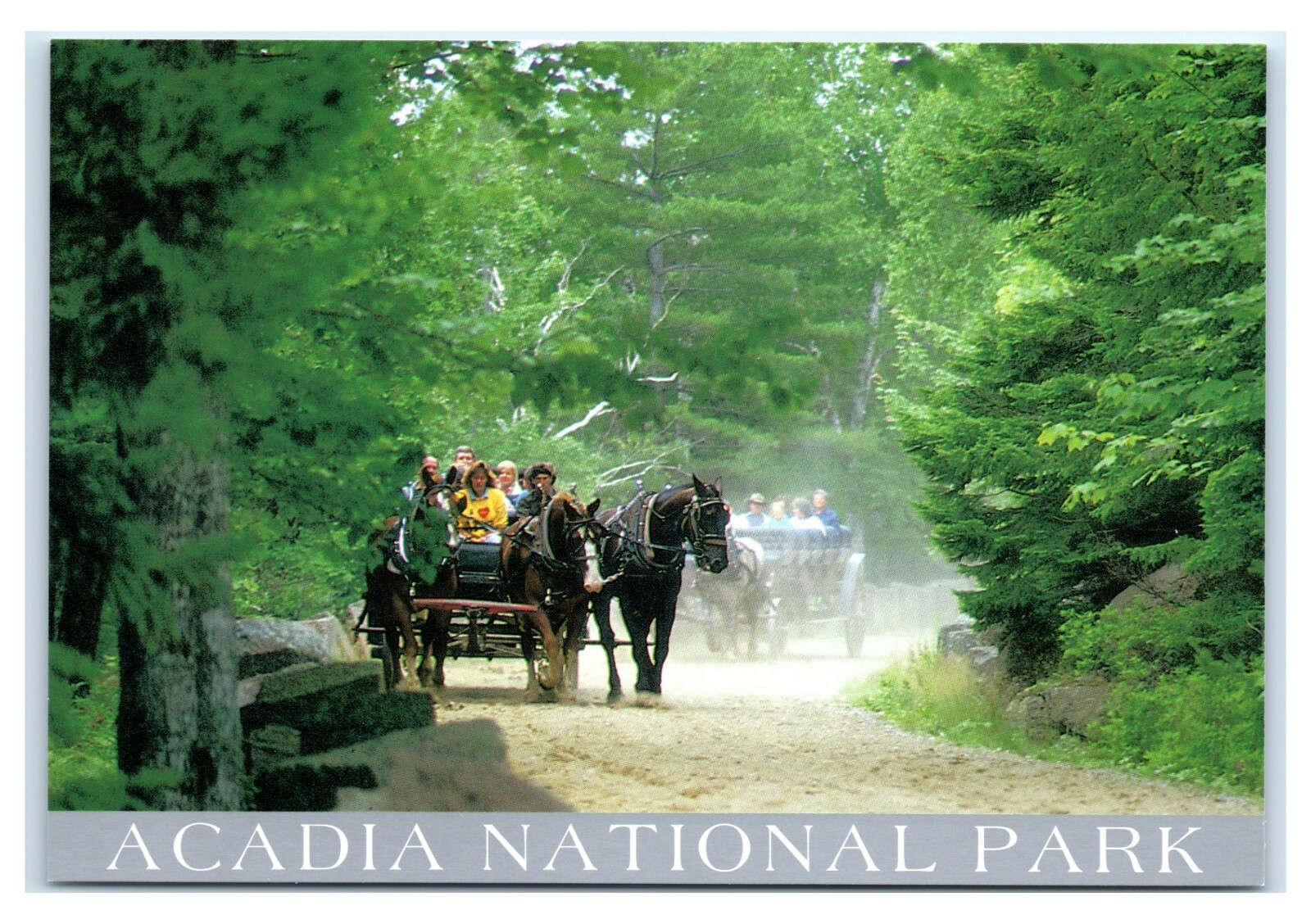 Postcard Traditional Carriage Ride near Jordan Pond, Acadia Maine K10 Postcard Traditional Carriage Ride near Jordan Pond, Acadia Maine K10