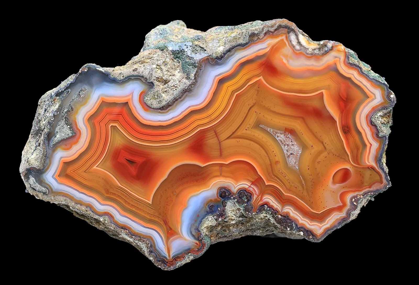 Exceptional Rare Quality Condor Agate Tight Banding and Fantastic Contrast Exceptional Rare Quality Condor Agate Tight Banding and Fantastic Contrast