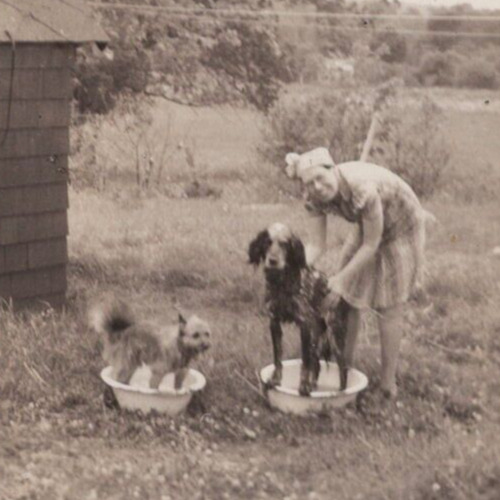 3P Photograph Pretty Woman Bathing 2 Pet Dogs In Yard 1930-40\'s 