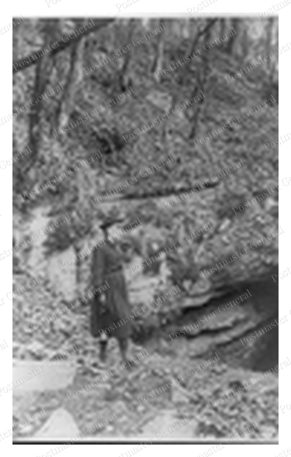 Mammoth Cave Kentucky Entrance Cliff Standard Postcard COPY RPPC
