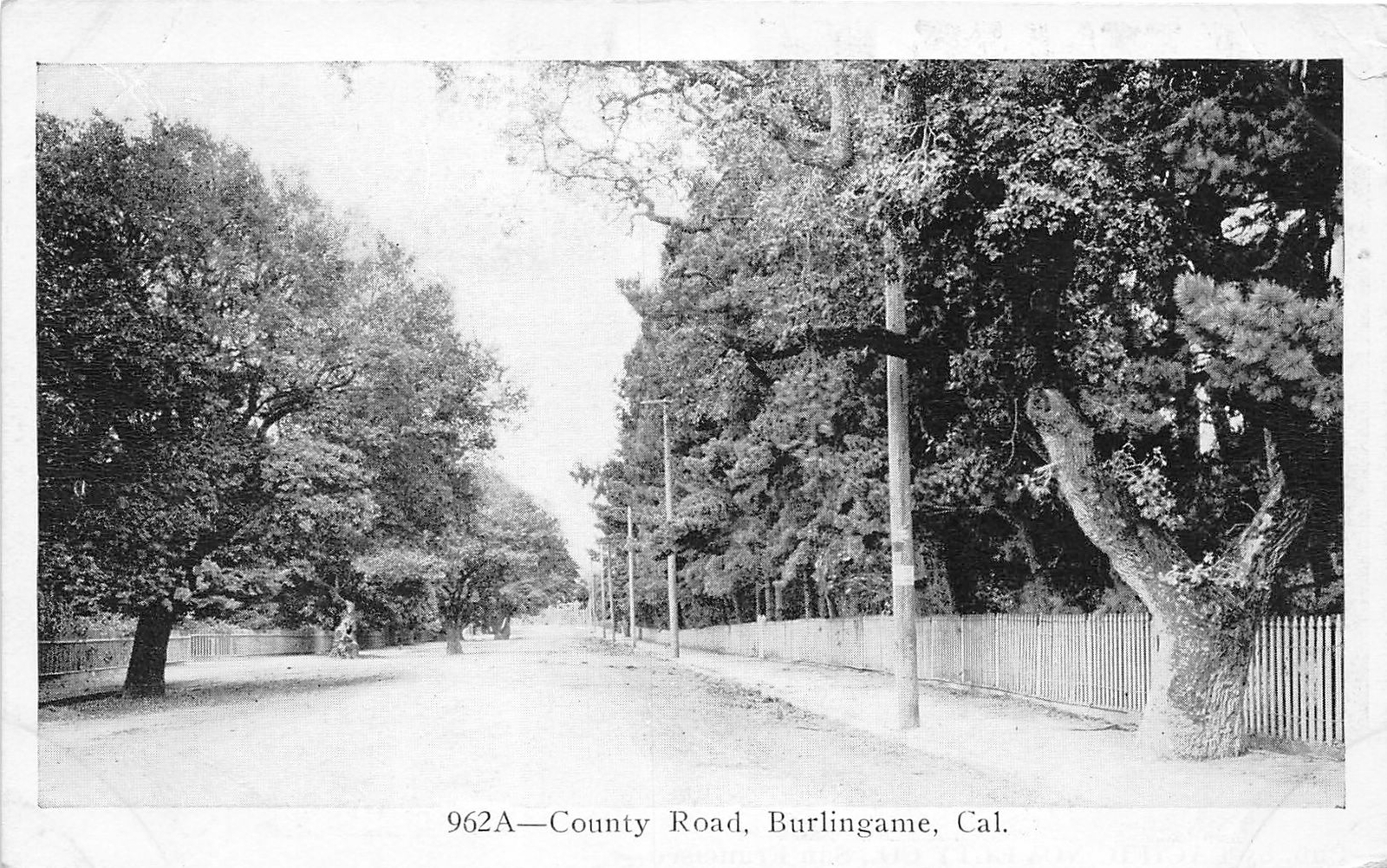G79/ Burlingame California Postcard c1910 County Road Scene