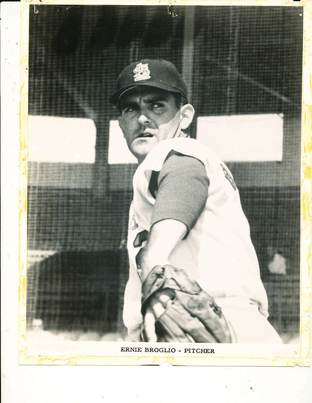 1964 Ernie Broglio St. Louis Cardinals team issue picture 8x10 