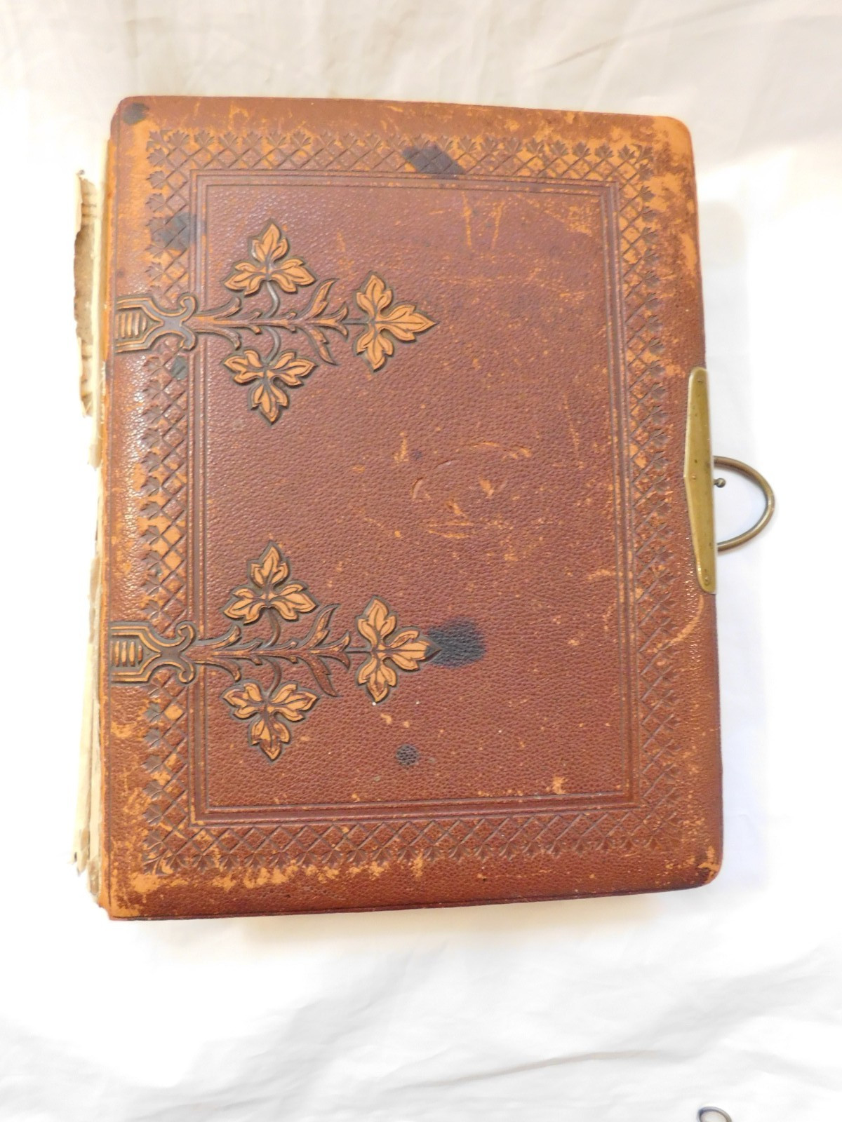 Antique Victorian Leather Photo Album CDV Poughkeepsie NY 75 Identified Photos