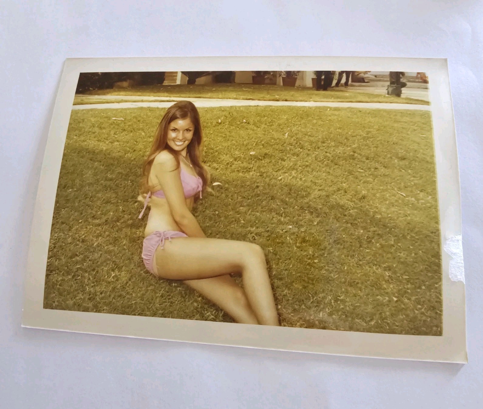 1970s Young Brunette Woman in Pink Bikini Swimsuit On Grass Park Vintage Photo 1970s Young Brunette Woman in Pink Bikini Swimsuit On Grass Park Vintage Photo