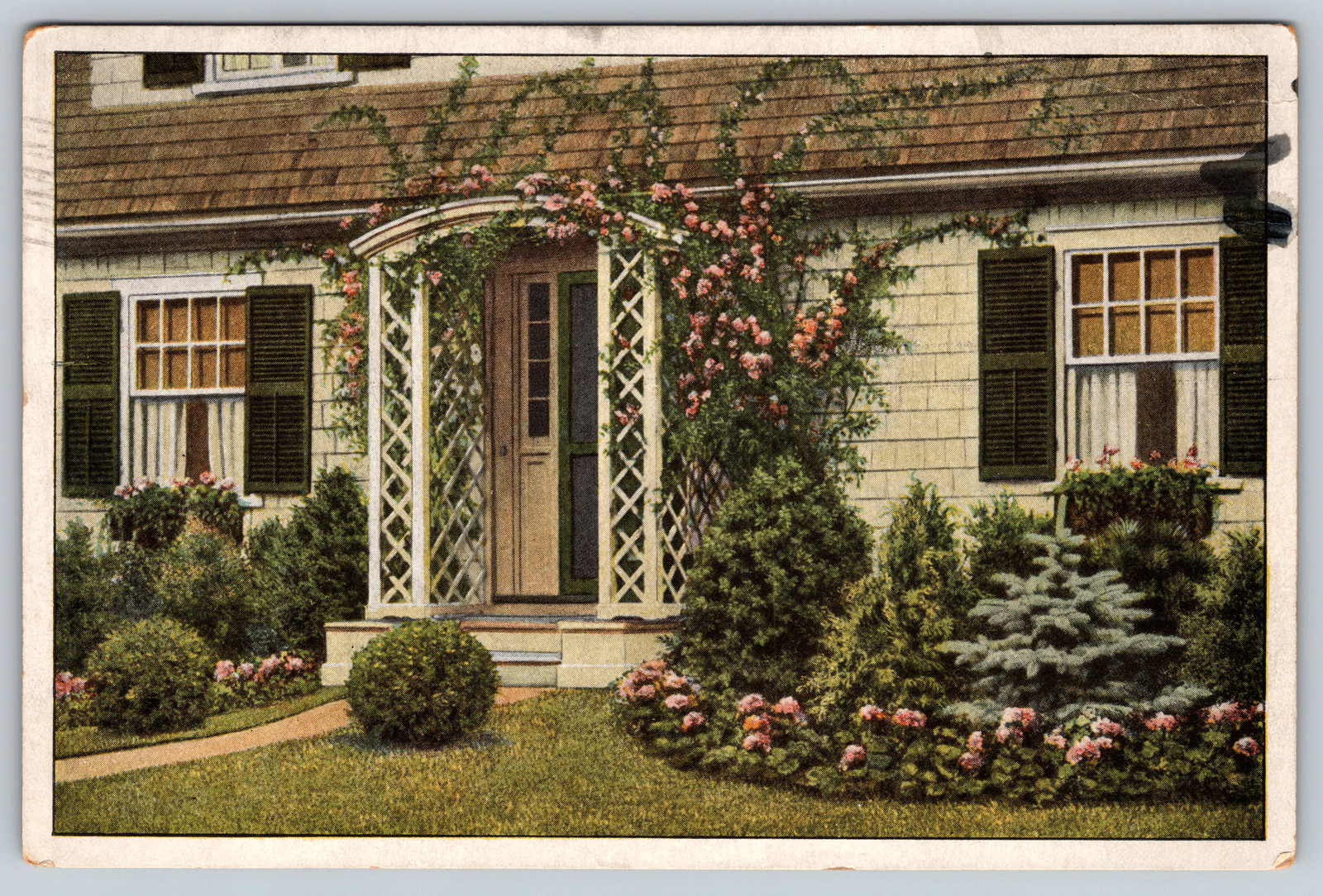 c1920s Evergreens Steele\'s Pomona Nurseries Palmyra New Jersey Vintage Postcard c1920s Evergreens Steele\'s Pomona Nurseries Palmyra New Jersey Vintage Postcard