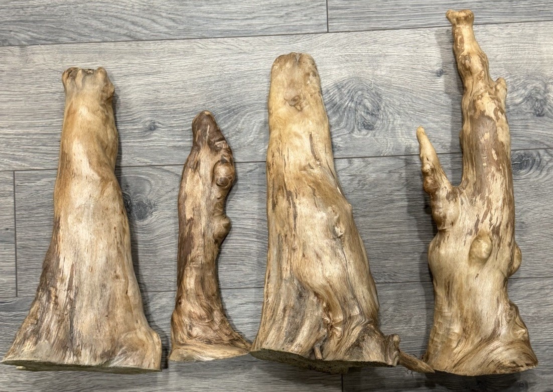 Vintage Natural Cypress Knee Wood Sculptures Set of 4 - Rustic Folk Art Decor