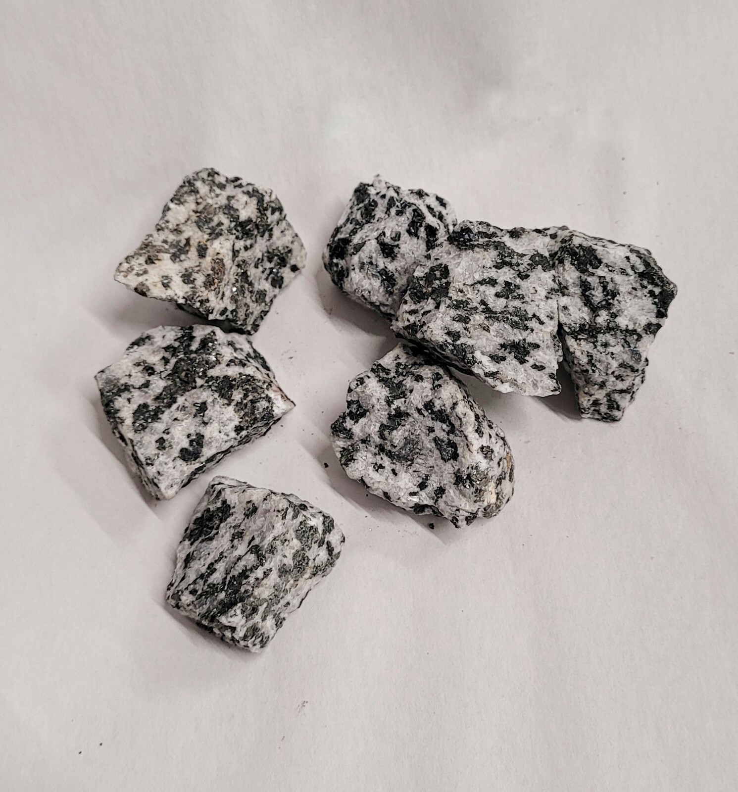 Natural Granodiorite Rock Specimen - Igneous, Geology, Collecting, & Decor Natural Granodiorite Rock Specimen - Igneous, Geology, Collecting, & Decor