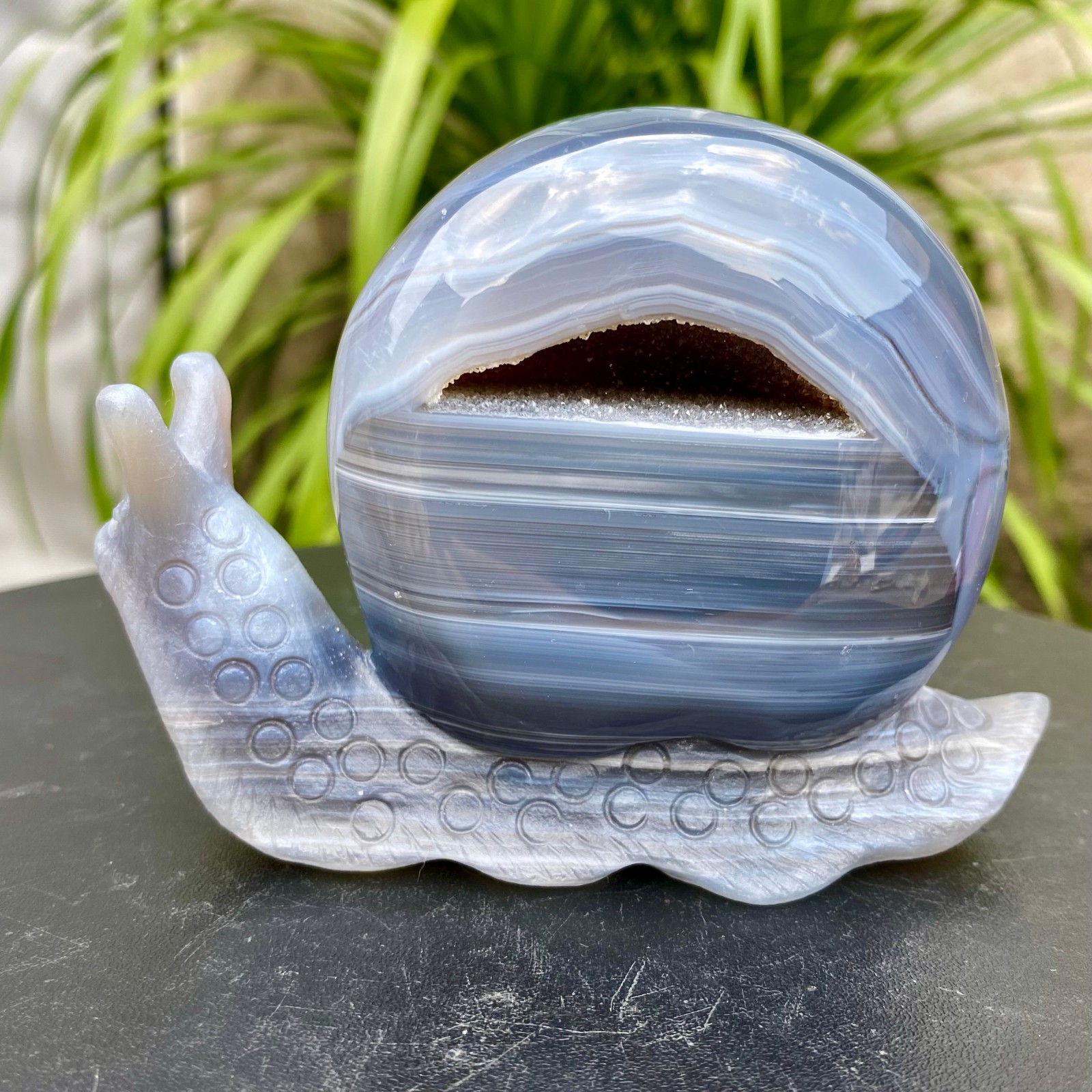 500G Natural agate geode quartz crystal engrave snail skull healing gift decor