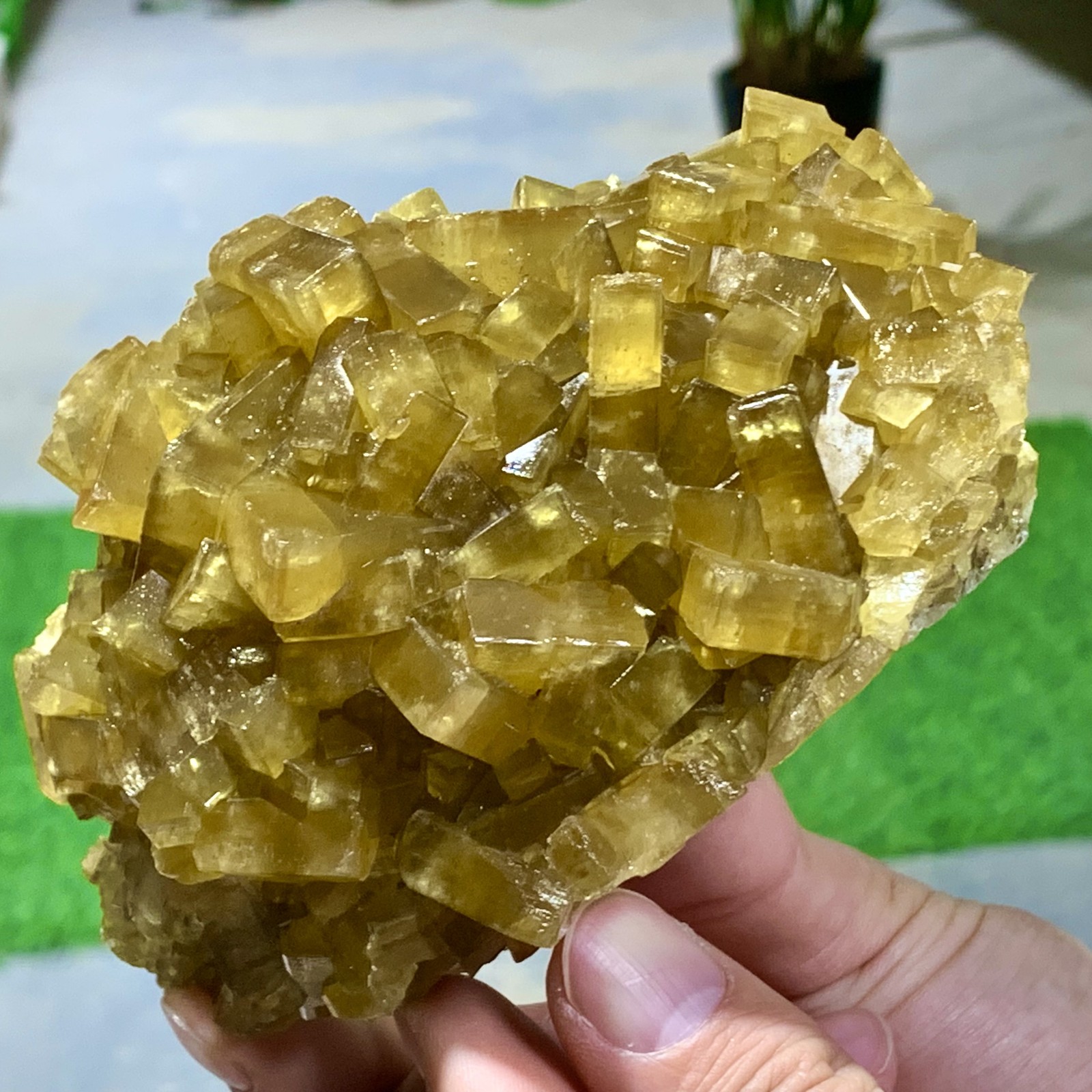 1.87LB Natural 1.87LB Natural