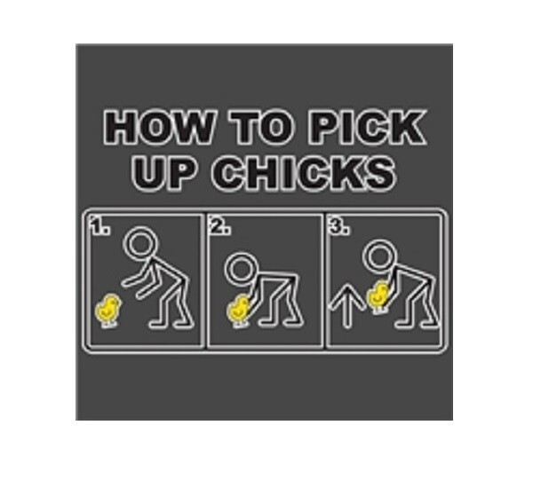 925- Funny Pick Up Chicks Refrigerator Magnet NICE 4 by 4 inch SIZE