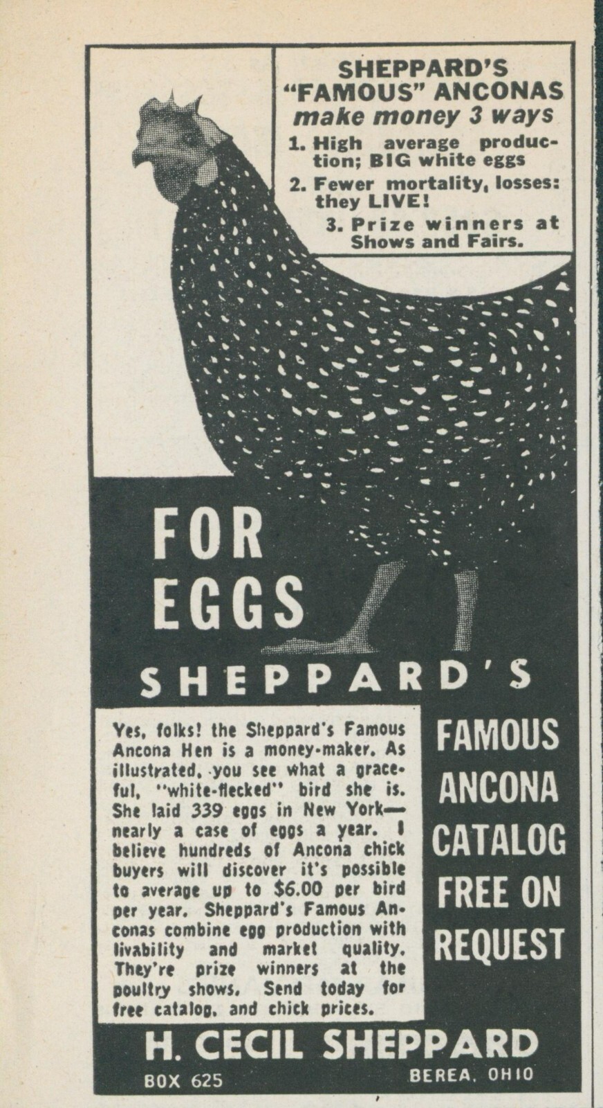 1955 Sheppards Famous Ancona Hen White Flecked Money Maker Vintage Print Ad FJ1 1955 Sheppards Famous Ancona Hen White Flecked Money Maker Vintage Print Ad FJ1