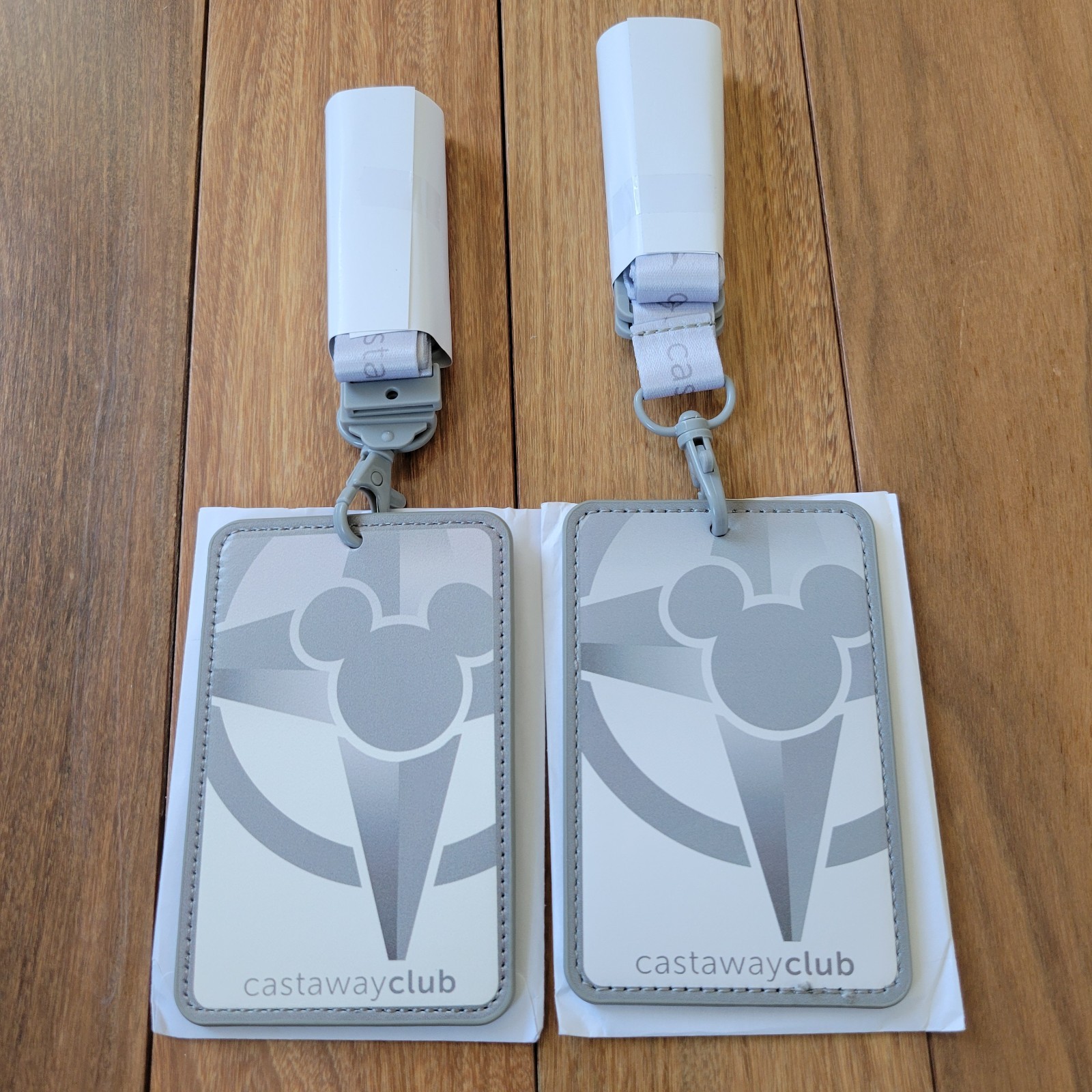 Disney Cruise Line 2026 Silver Castaway Club Lot of 2 Lanyard NEW Updated Disney Cruise Line 2026 Silver Castaway Club Lot of 2 Lanyard NEW Updated