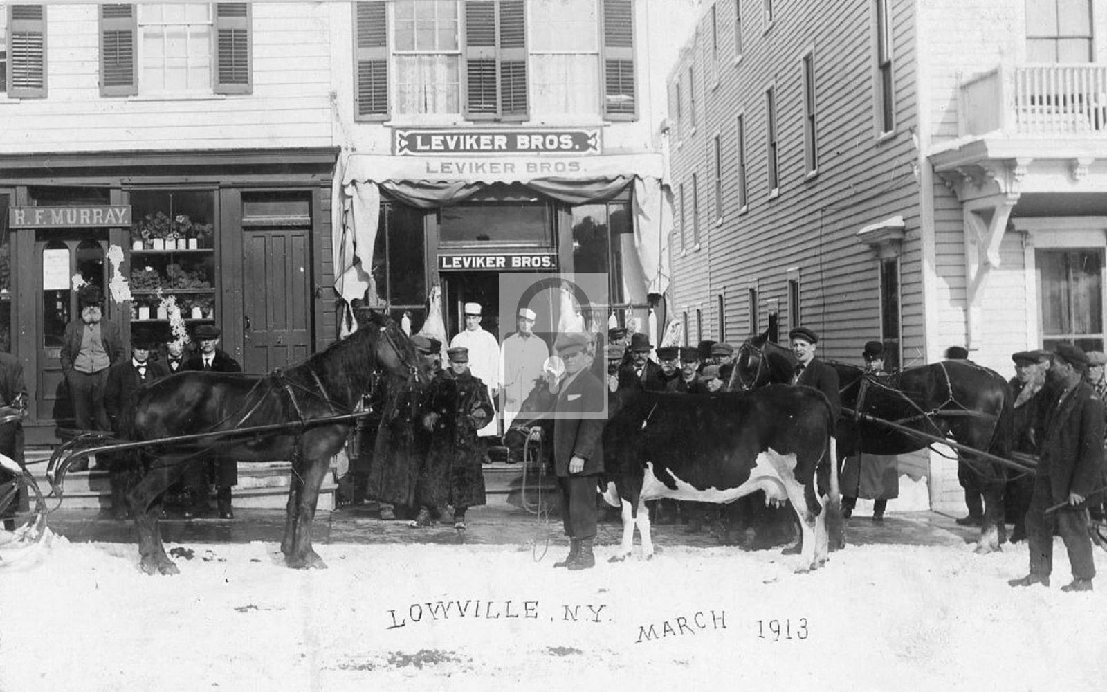 1913 Leviker Brothers Butcher Shop Lowville New York NY - Reprint