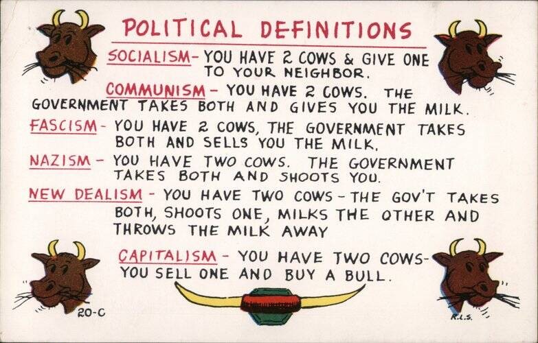 Comic Political Definitions using cows Chrome Original Vintage Postcard