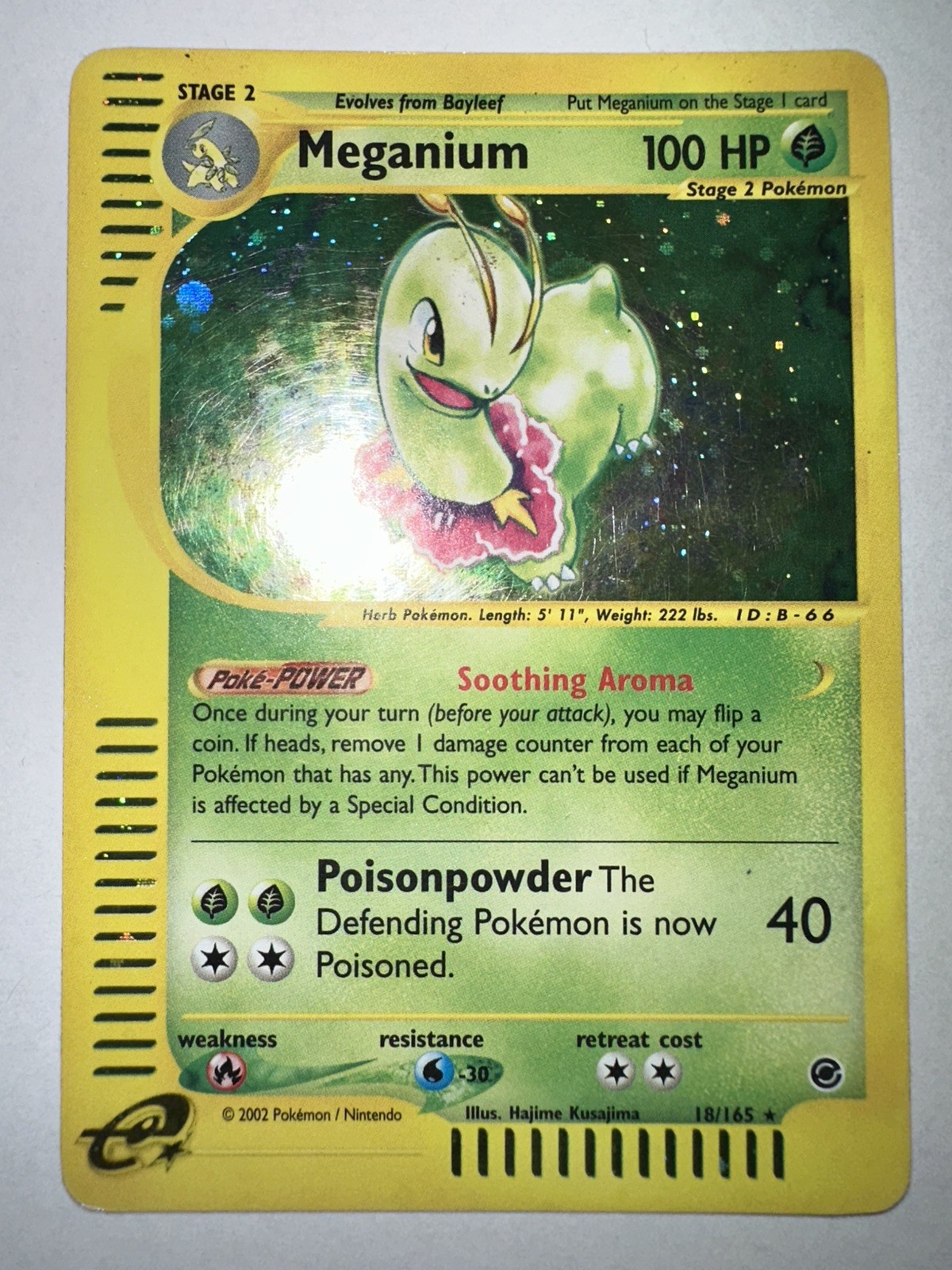 Pokemon TCG Meganium Holo Rare Card 18/165 Expedition Base Set Pokemon TCG Meganium Holo Rare Card 18/165 Expedition Base Set