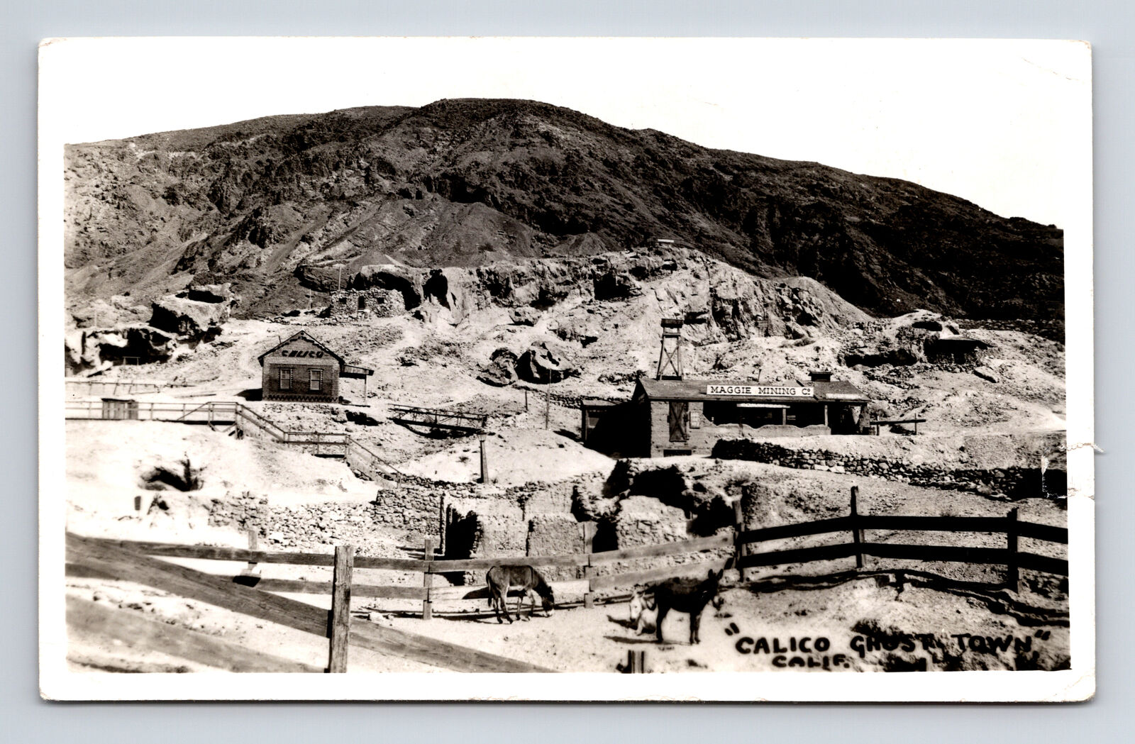 c1954 RPPC Calico Ghost Town Mining Mules Calico California CA Postcard
