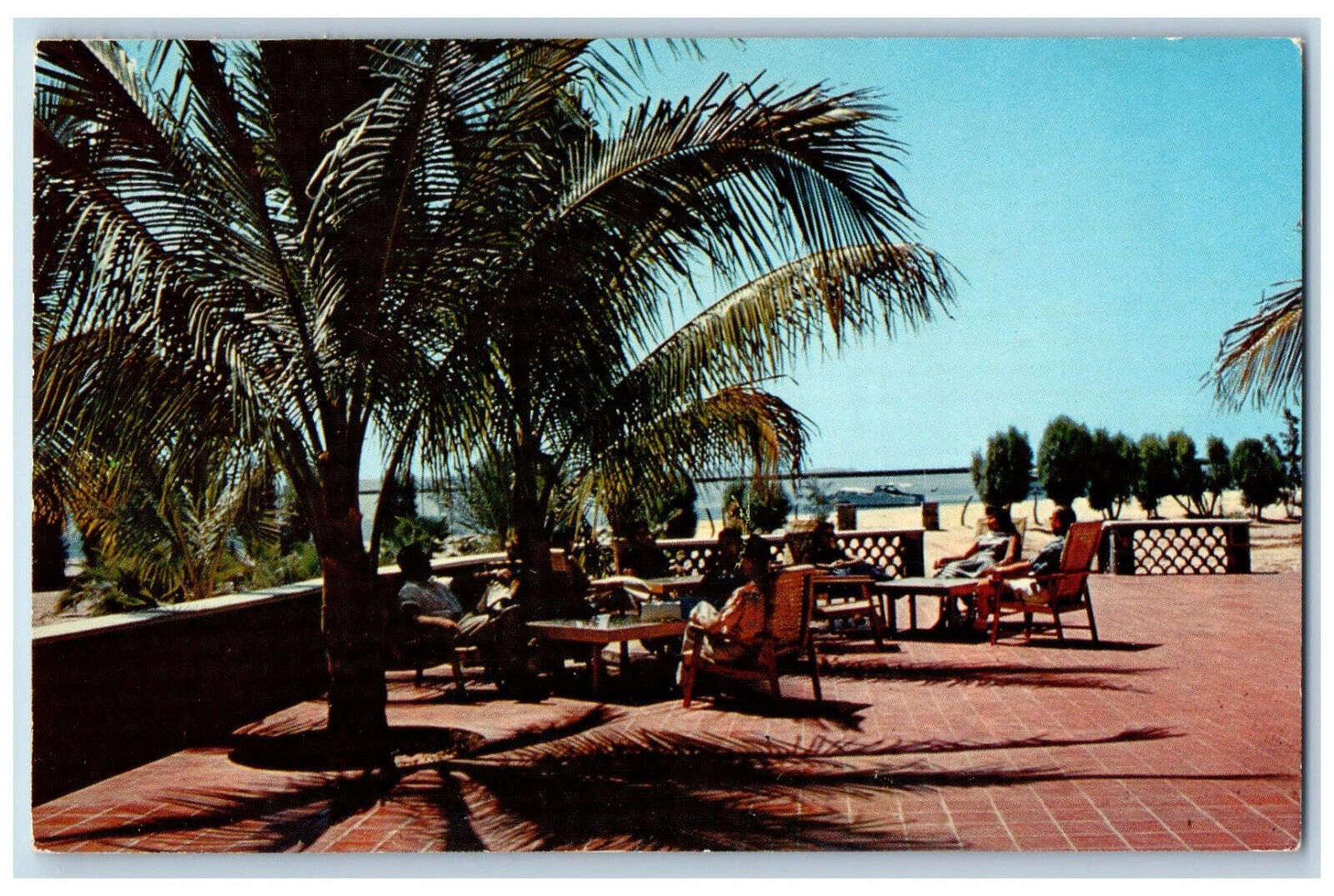 La Paz Baja California Mexico Postcard Hotel Los Cocos c1950\'s Vintage Posted
