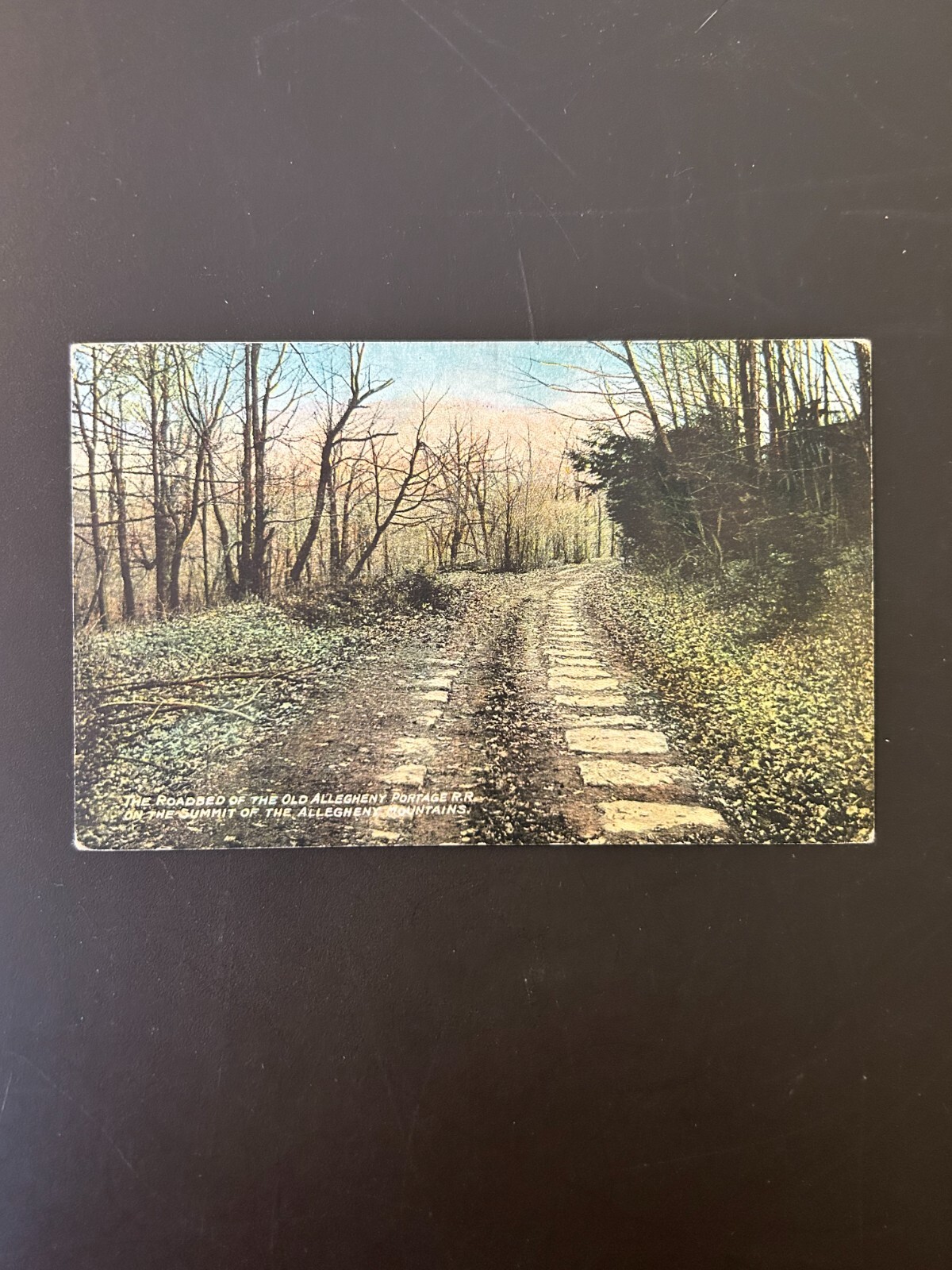 The Road Bed of the Old Allegheny Portage 1911 postcard The Road Bed of the Old Allegheny Portage 1911 postcard