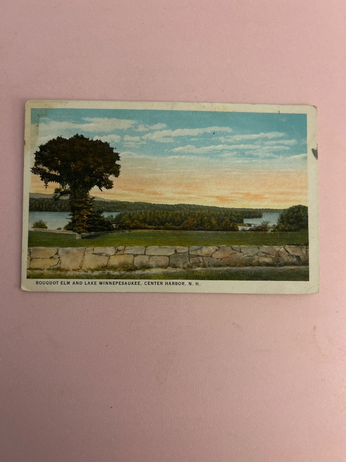 1924 bouquot elm and lake Winnepesaukee, center harbor NH 1924 bouquot elm and lake Winnepesaukee, center harbor NH