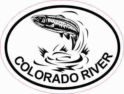 4x3 Oval Trout Colorado River Sticker Luggage Car Cup Tumbler Fishing Stickers
