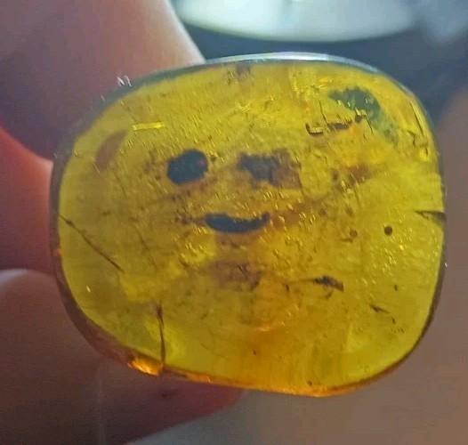 LARGE DETAILED MULTI MILLION YEAR OLD WASP TRAPPED IN AMBER PIECE