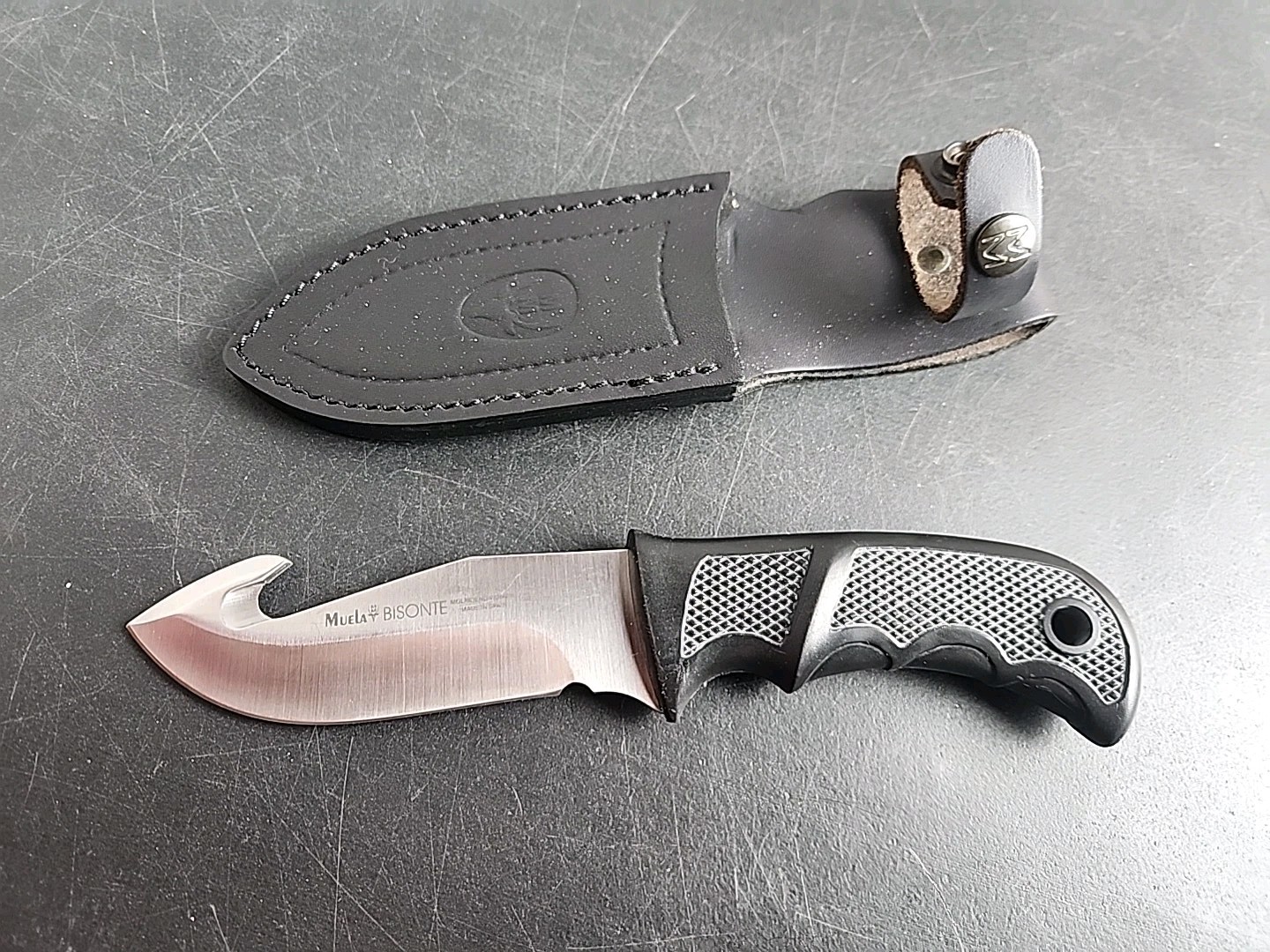 Muela Bisonte Knife Gut Hook Hunting 