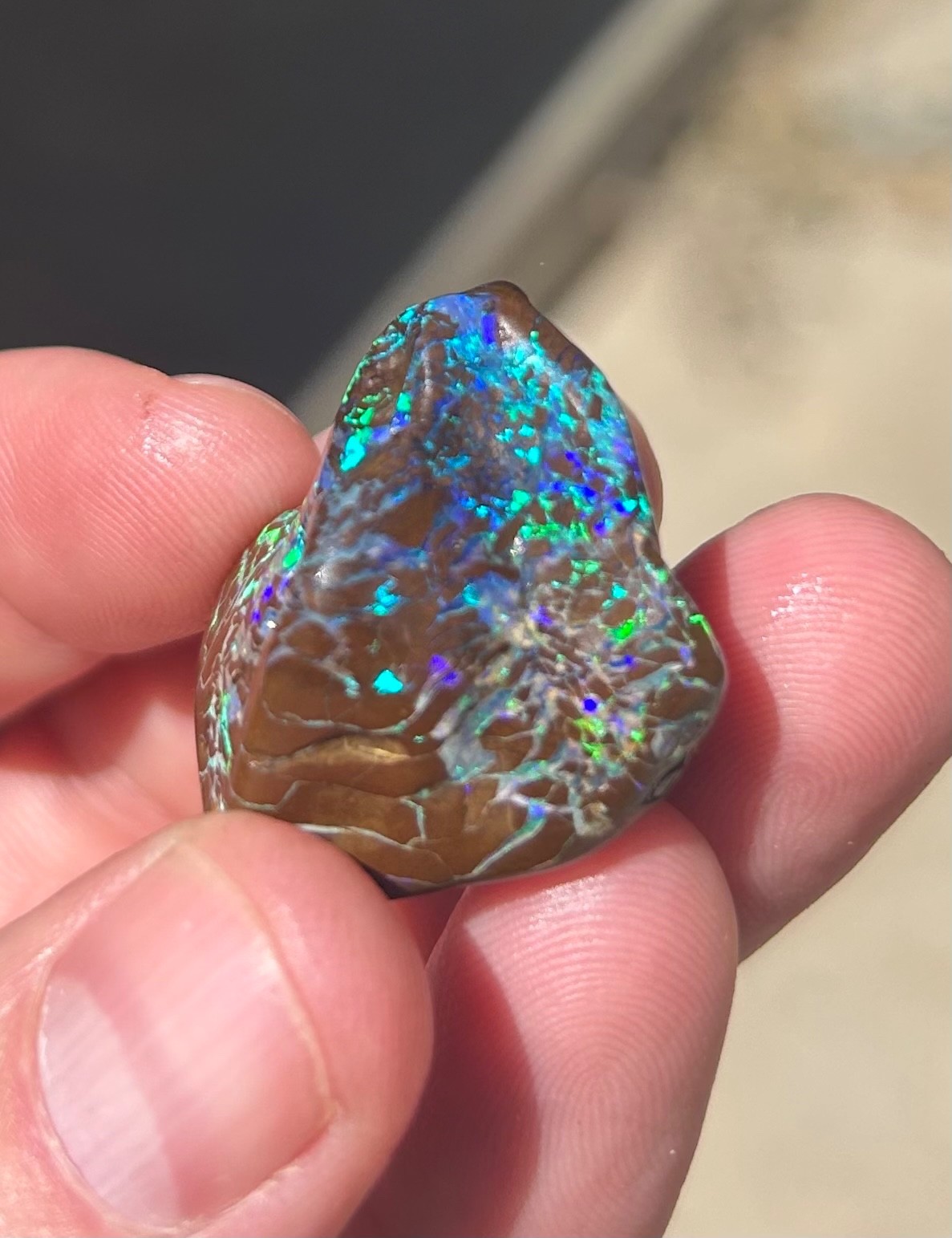 Incredible 25.2g Winton Boulder Opal with kernel eye and amazing potential Incredible 25.2g Winton Boulder Opal with kernel eye and amazing potential