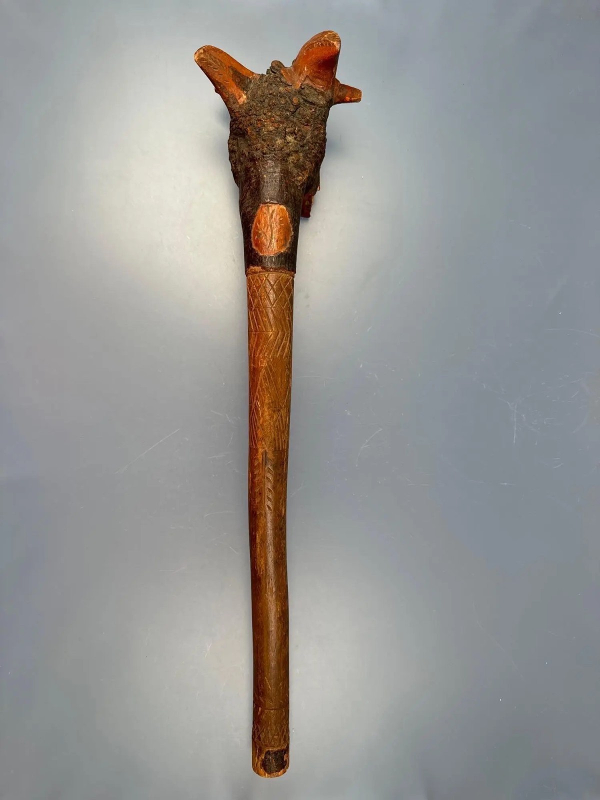 Penobscot Indian Native American Root Club 22\