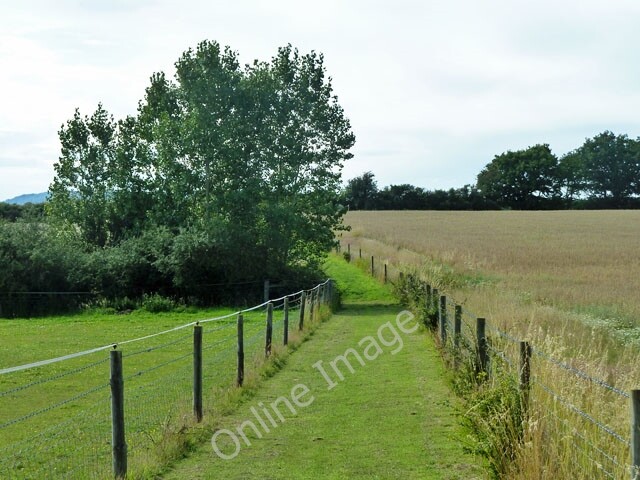 Photo 6x4 Nicely mown footpath 611 Great Common\/TQ0127 Thanks to the peo c2011 Photo 6x4 Nicely mown footpath 611 Great Common\/TQ0127 Thanks to the peo c2011