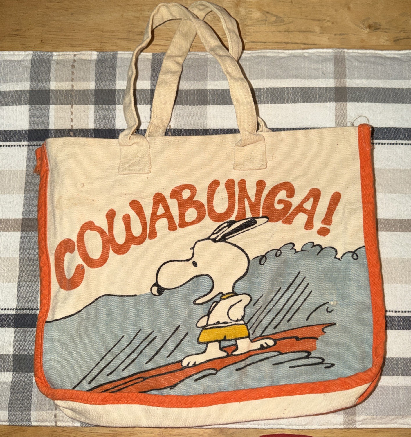Vintage 70s Snoopy Cowabunga Surfing Tote Bag Butterfly Orginals Canvas No Snap Vintage 70s Snoopy Cowabunga Surfing Tote Bag Butterfly Orginals Canvas No Snap