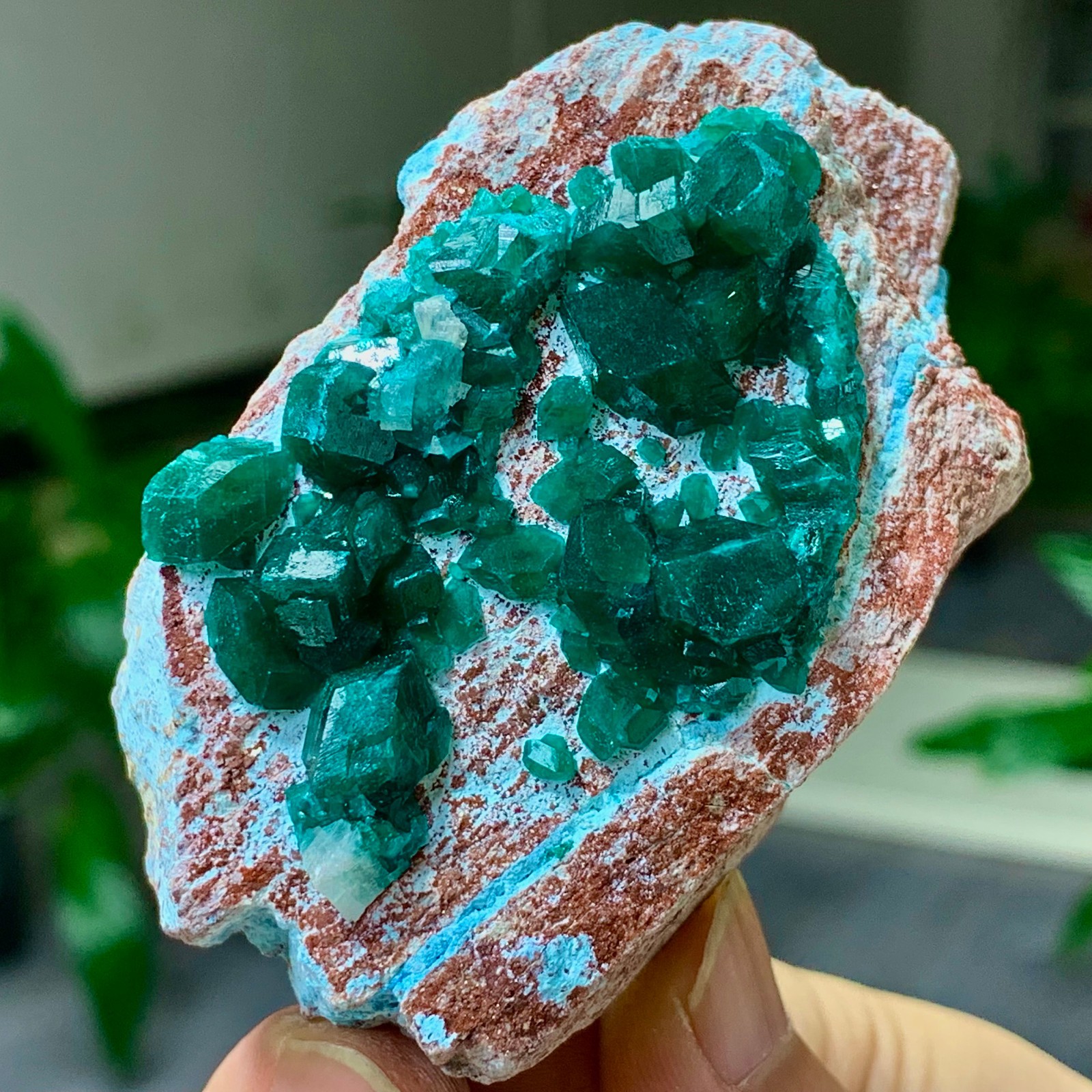 123G Natural green dioptase emerandine gemstone cluster crystal specimen 123G Natural green dioptase emerandine gemstone cluster crystal specimen