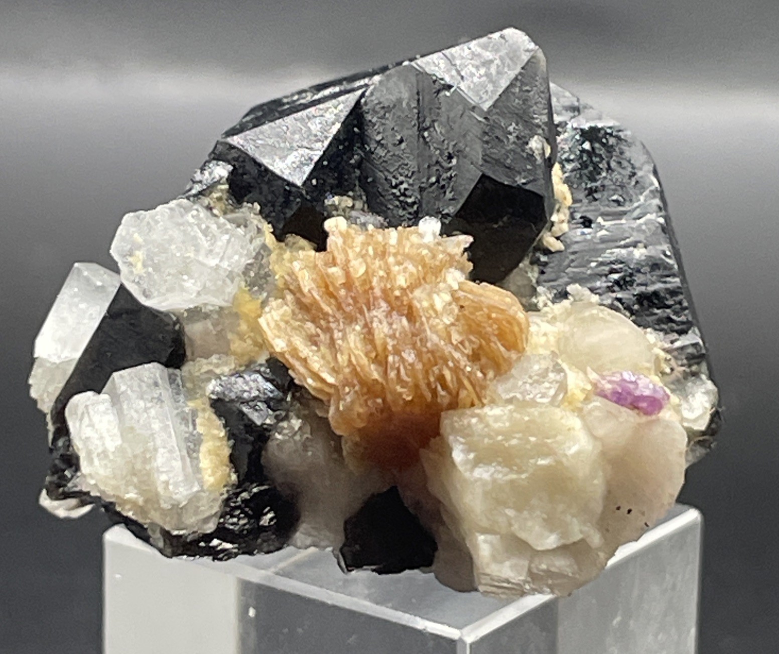 VERY COOL AQUAMARINE,MICA AND APATITE ON SMOKY QUARTZ CLUSTER SKARDU, PAKISTAN VERY COOL AQUAMARINE,MICA AND APATITE ON SMOKY QUARTZ CLUSTER SKARDU, PAKISTAN