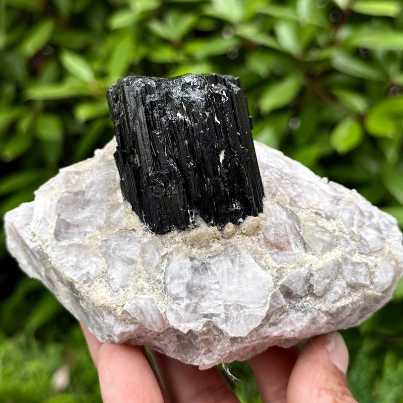 2.14LB Rare black tourmaline and quartzite symbiotic mineral specimen 2.14LB Rare black tourmaline and quartzite symbiotic mineral specimen