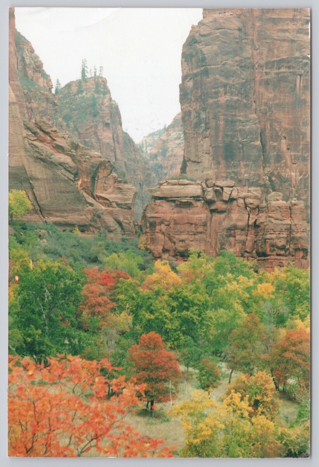Zion National Park Utah, Altar Rock Formation, Vintage RPPC Real Photo Postcard