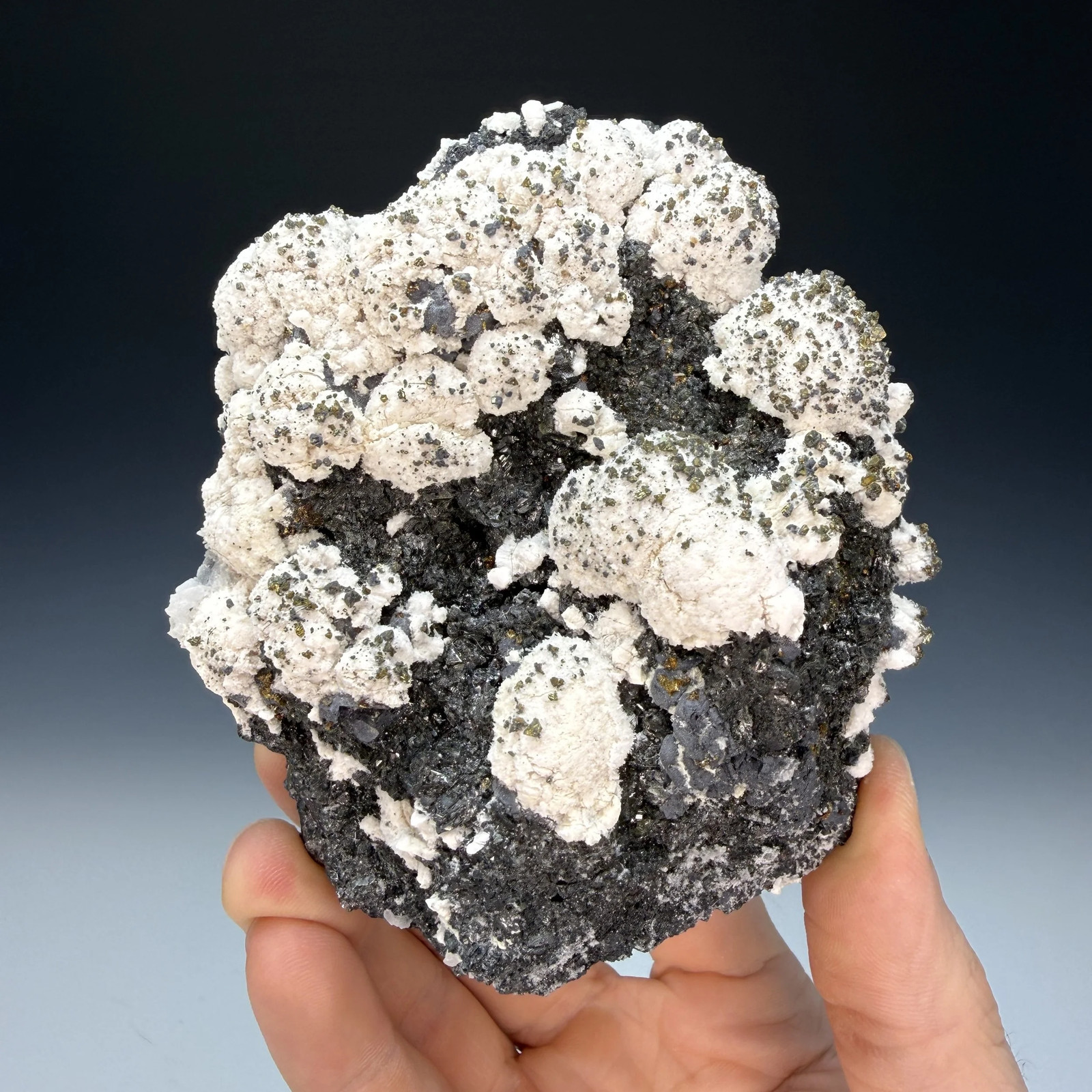 Baryte, Chalcopyrite, Galena, Trepca complex, Mitrovica, Mitrovica District Baryte, Chalcopyrite, Galena, Trepca complex, Mitrovica, Mitrovica District