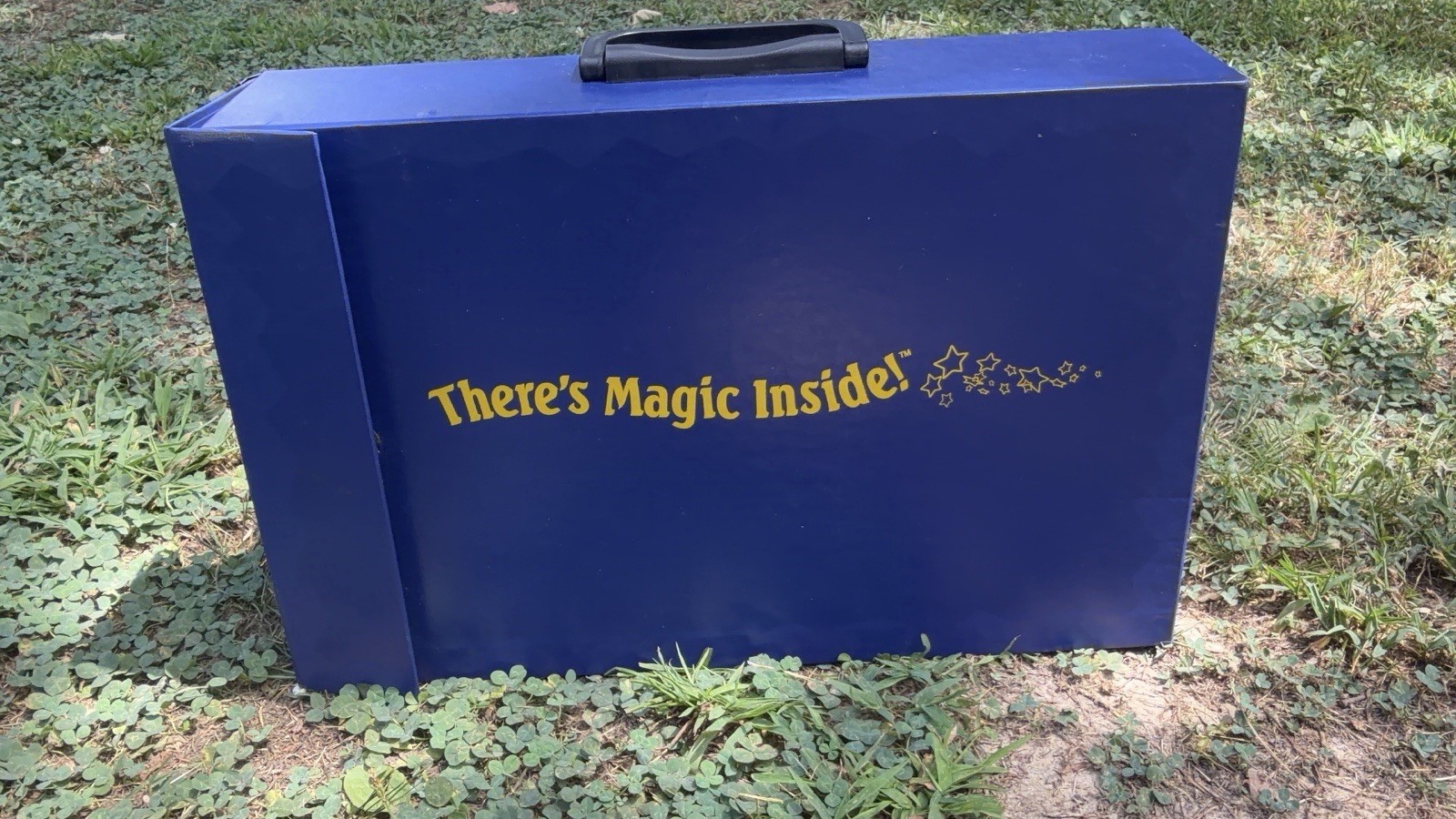 Ultra-Rare 1990s Nestlé & Disney Inner-Corporate Sales Presentation Pitch Box Ultra-Rare 1990s Nestlé & Disney Inner-Corporate Sales Presentation Pitch Box