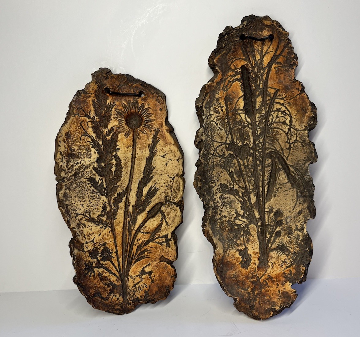 Vintage Mcm Botanical Faux Bark Wall Plaques Resin Plastic Set Of 2 Thistle Grad Vintage Mcm Botanical Faux Bark Wall Plaques Resin Plastic Set Of 2 Thistle Grad