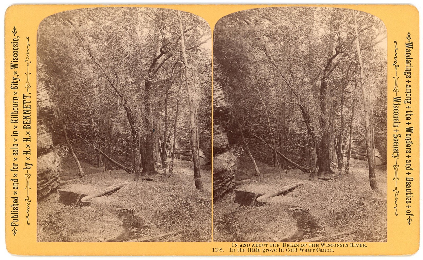 WISCONSIN DELLS STEREOVIEW - Cold Water Canon Grove - HH Bennett 1880s OVERSIZED