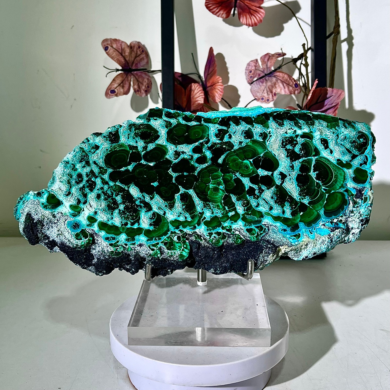 3.44LB Natural polyophthalmic Silicon malachite crystal gloss mineral specimen